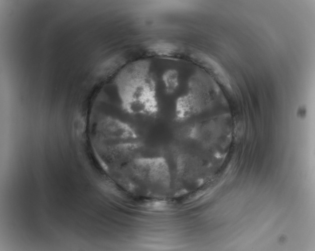 X0000102540365200808221934