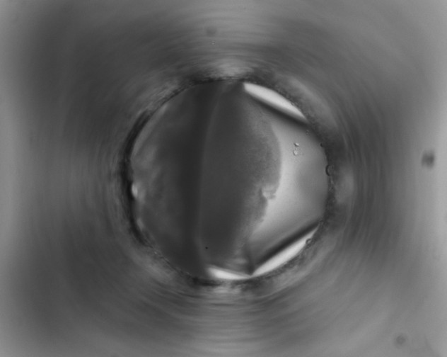 X0000102540366200808221934