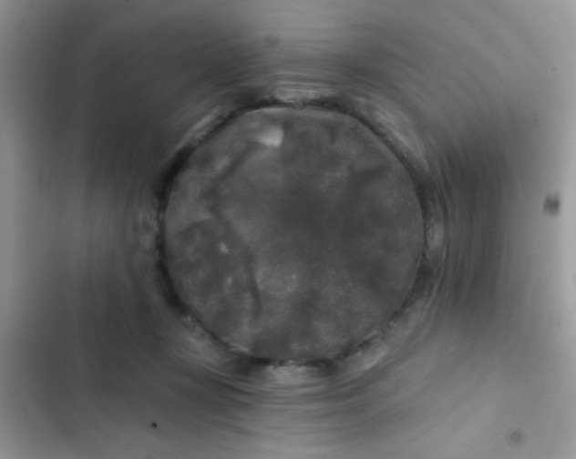 X0000102540367200808221934