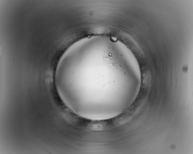 X0000102540368200808221934