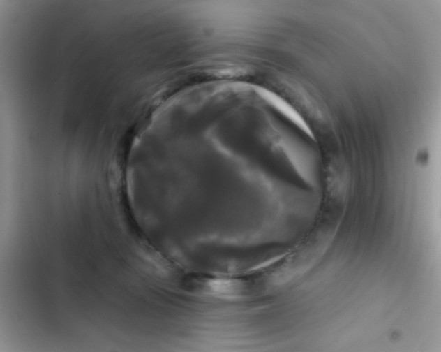 X0000102540371200808221934