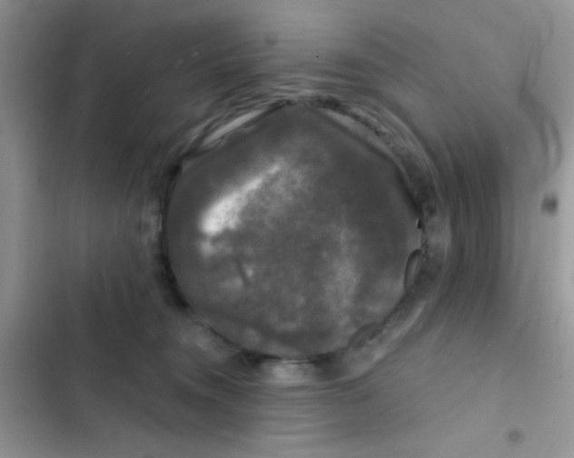 X0000102540372200808221934