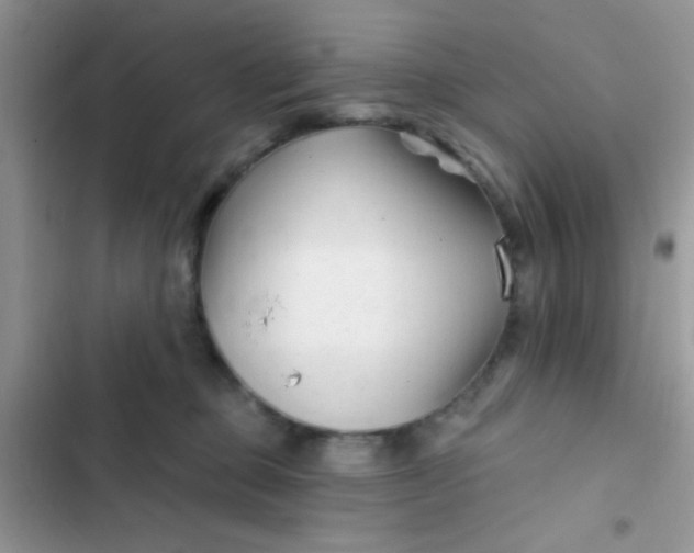 X0000102540373200808221934