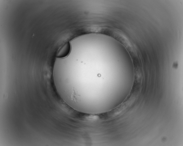 X0000102540374200808221934