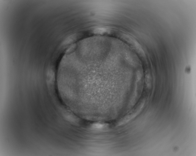 X0000102540375200808221934