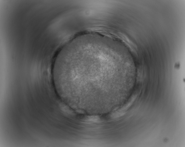X0000102540377200808221934