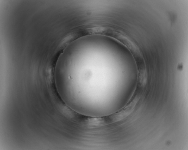X0000102540378200808221934