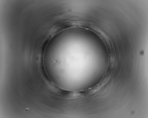 X0000102540379200808221934