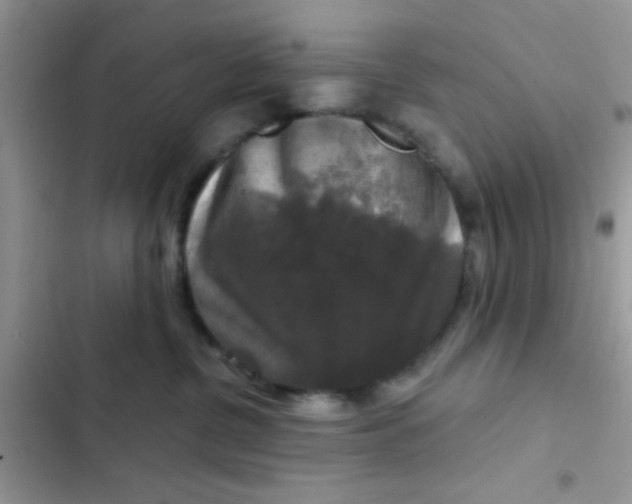 X0000102540380200808221934