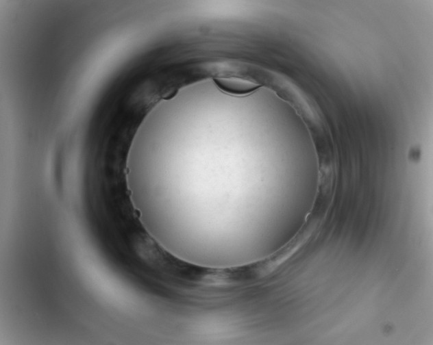 X0000102540381200808221934