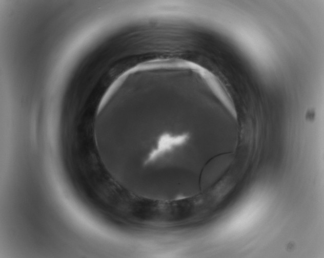 X0000102540383200808221934