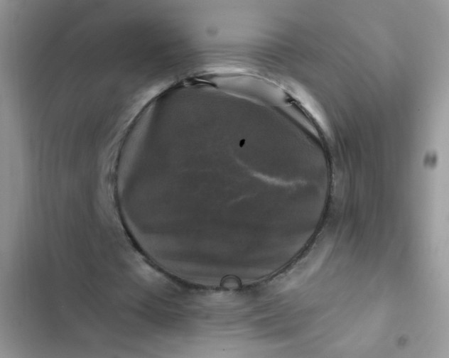X0000102540385200808221934