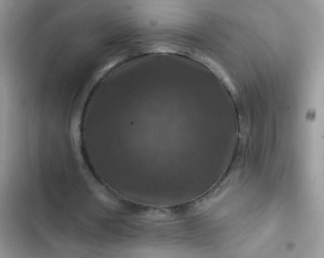 X0000102540386200808221934