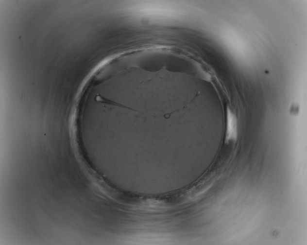 X0000102540387200808221934