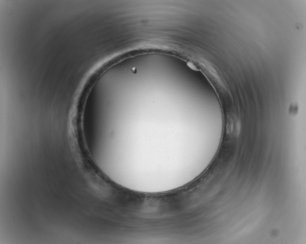 X0000102540388200808221934