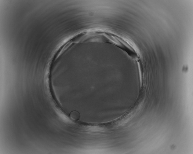 X0000102540389200808221934