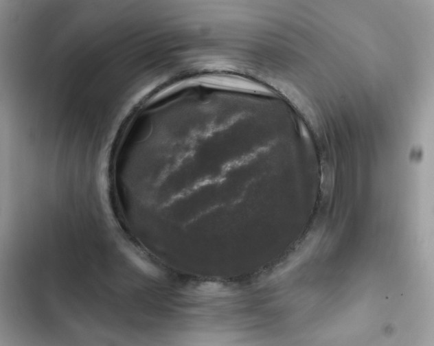 X0000102540390200808221934