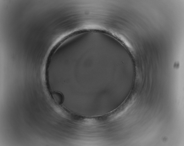 X0000102540391200808221934