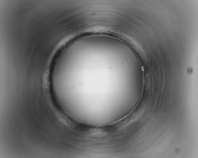 X0000102540392200808221934