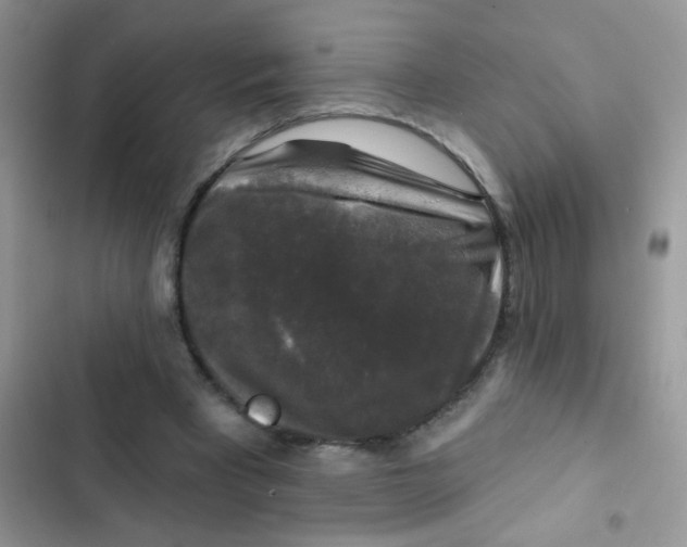 X0000102540393200808221934