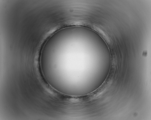 X0000102540394200808221934