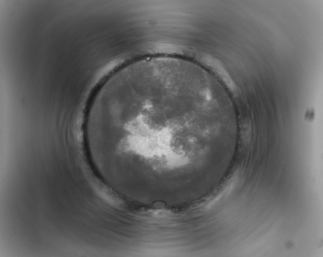 X0000102540395200808221934
