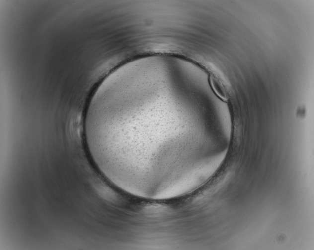 X0000102540397200808221934
