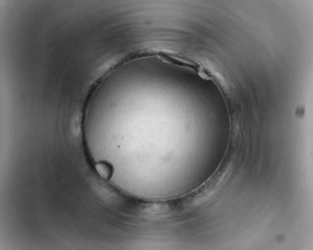 X0000102540398200808221933