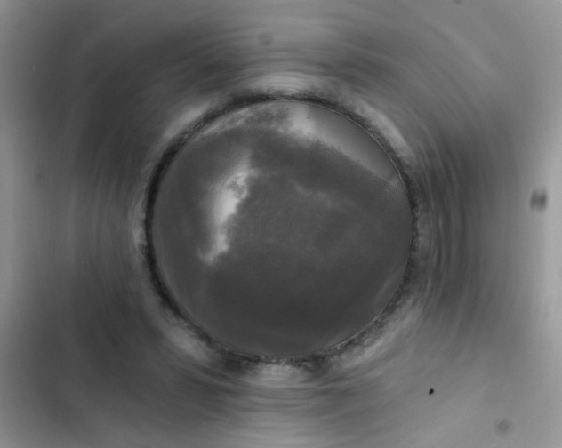 X0000102540399200808221933