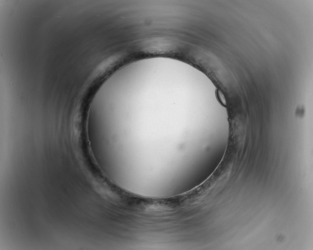 X0000102540400200808221933