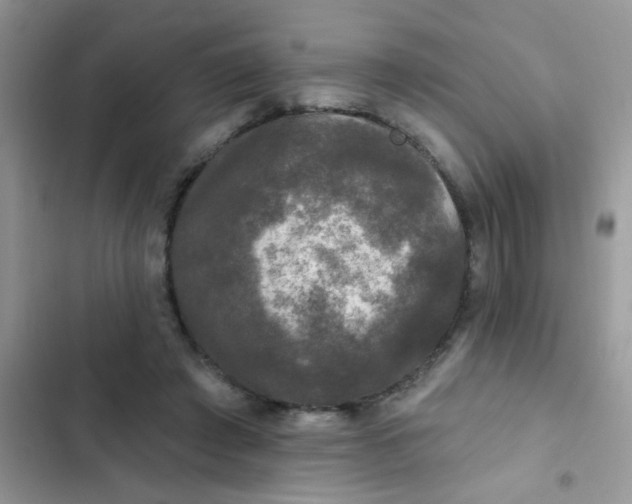 X0000102540401200808221933