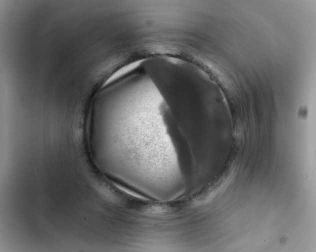 X0000102540402200808221933