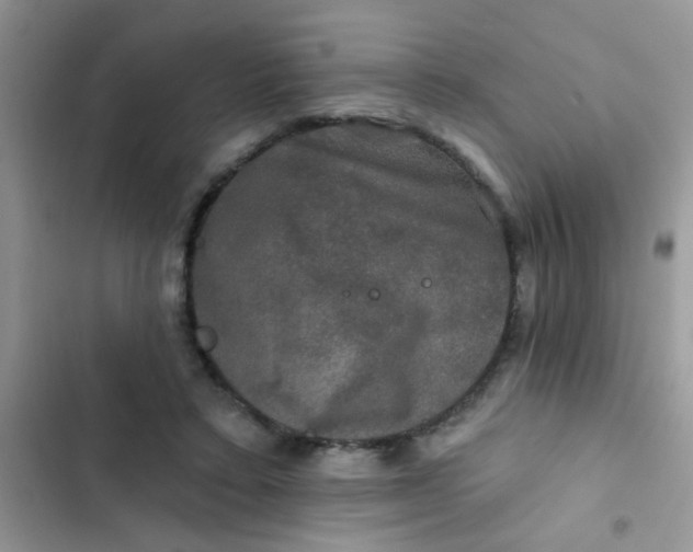 X0000102540403200808221933