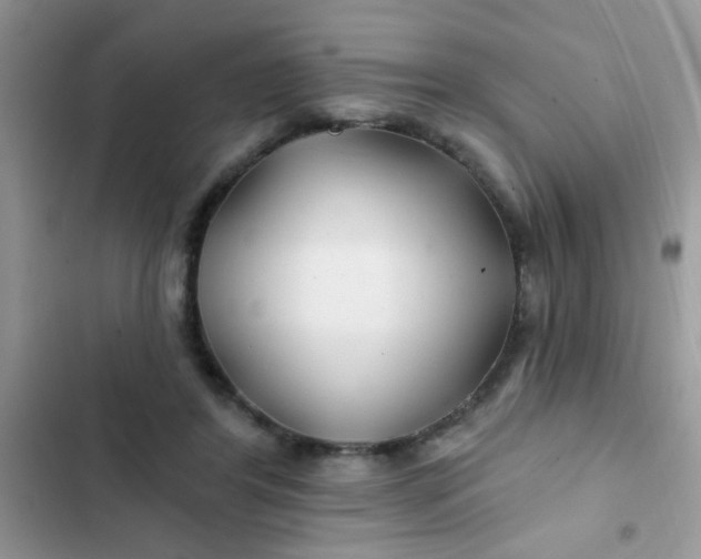 X0000102540404200808221933