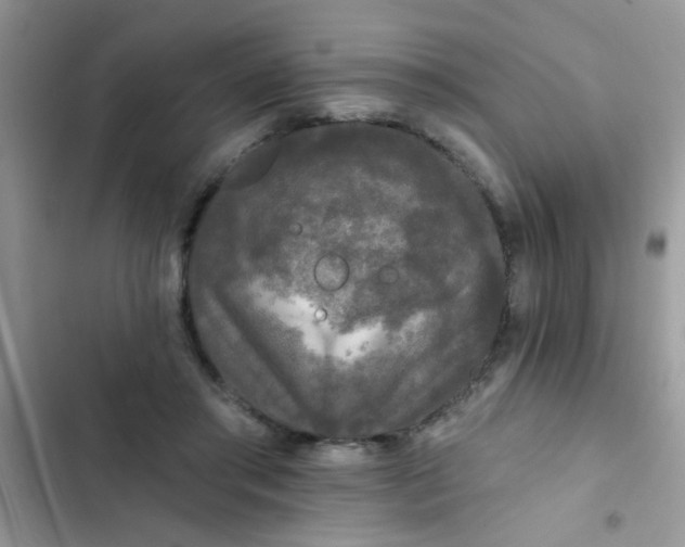 X0000102540405200808221933