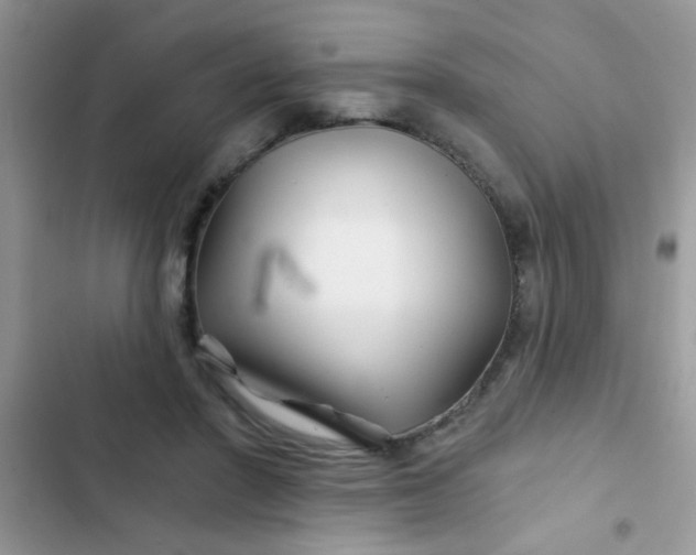 X0000102540406200808221933