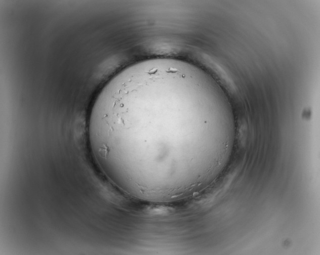 X0000102540407200808221933