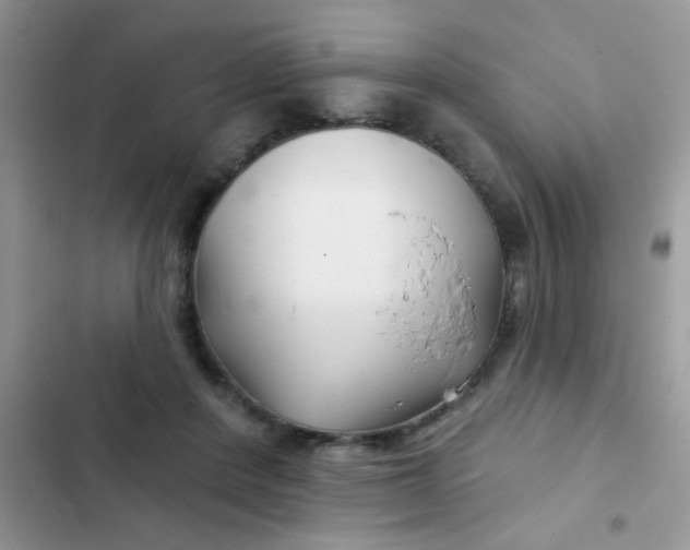 X0000102540408200808221933