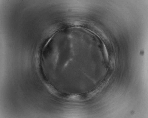X0000102540410200808221933