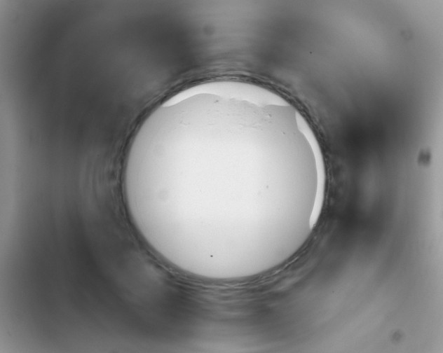X0000102540411200808221933