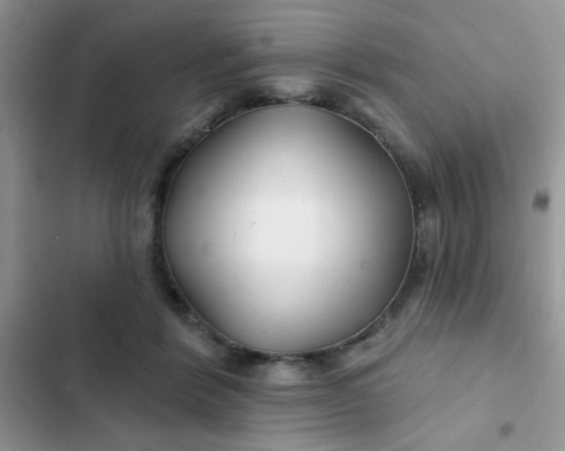 X0000102540412200808221933