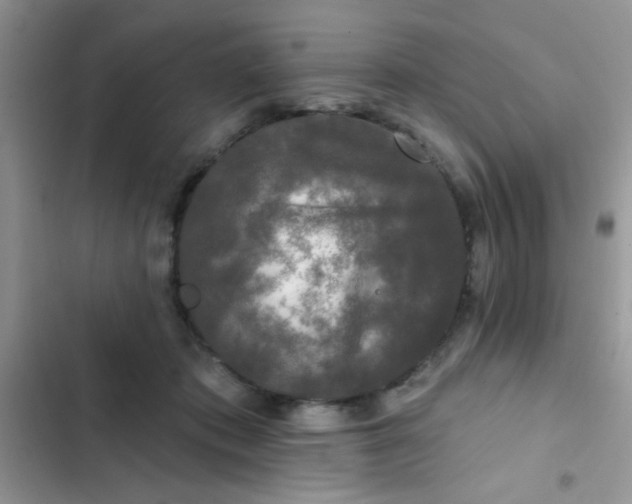 X0000102540413200808221933