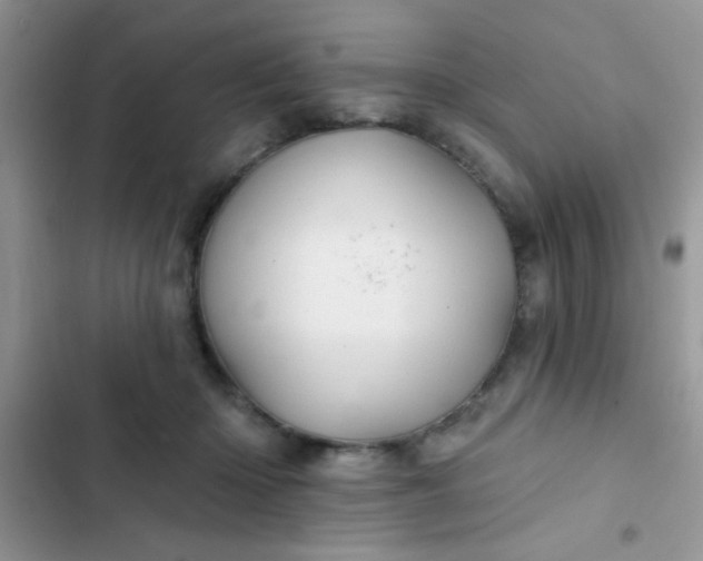 X0000102540414200808221933
