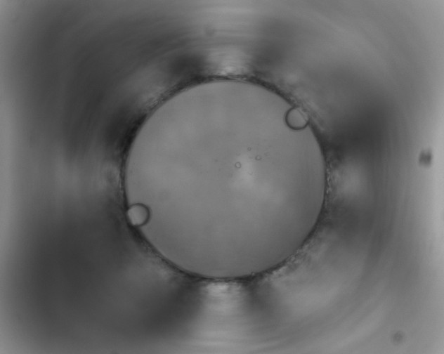 X0000102540415200808221933