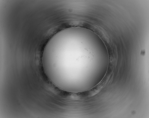 X0000102540416200808221933