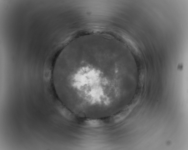 X0000102540417200808221933