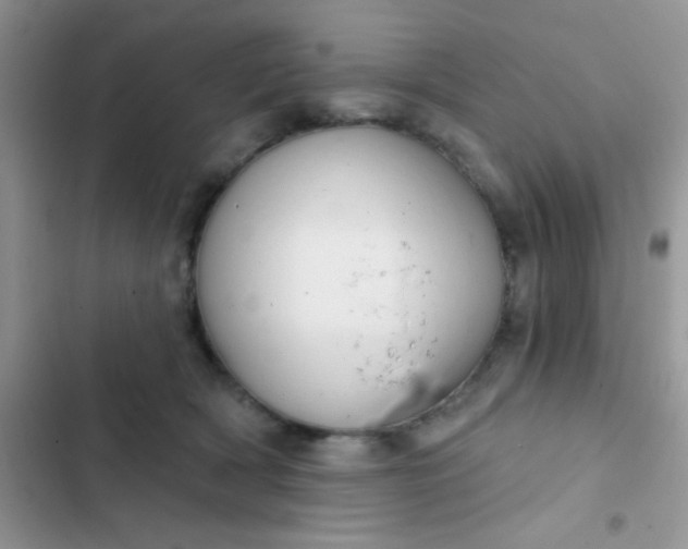 X0000102540418200808221933