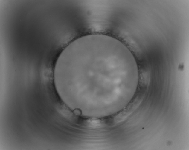 X0000102540419200808221933