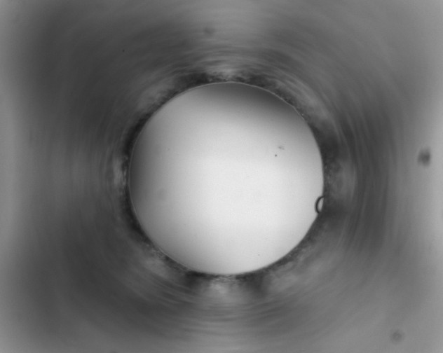 X0000102540420200808221933