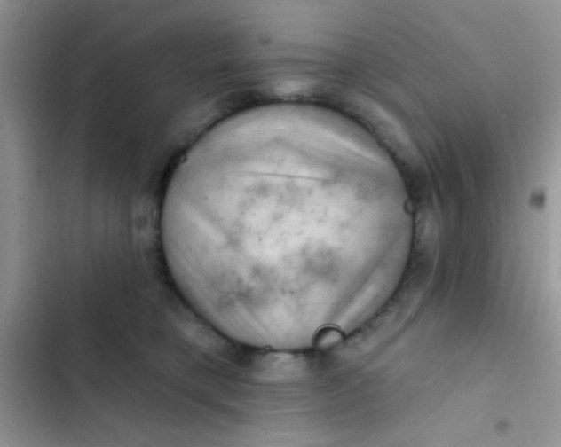 X0000102540421200808221933